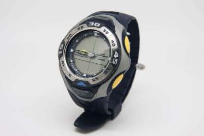 Casio pathfinder twin sensor